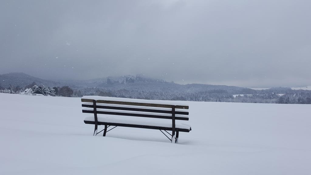 Pension Goldstueck Bad Schandau Esterno foto